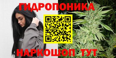 прущий лед Бийск