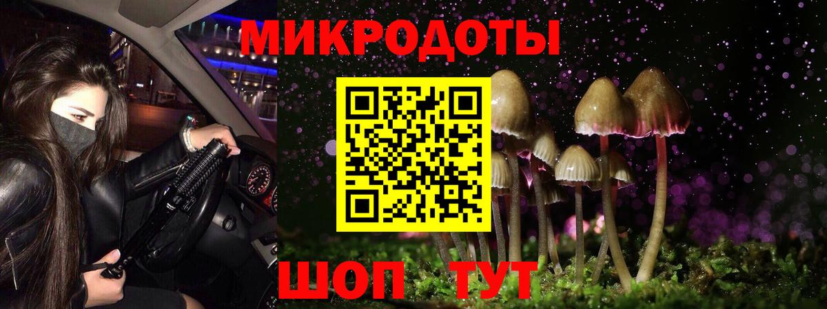 Галлюциногенные грибы Psilocybine cubensis Дедовск