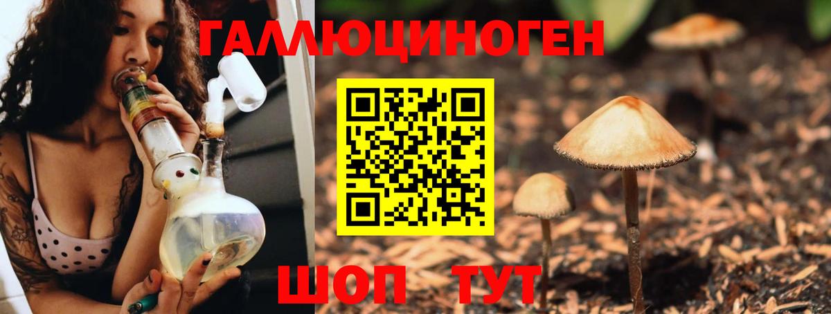 Галлюциногенные грибы Psilocybine cubensis  Вход с VPN  Дедовск  Галлюциногенные грибы Psilocybe 